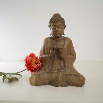 A product titled Intuitive Therapy, Tarot, Life Navigation is displayed on a white surface with a red flower beside it against a softly lit, plain background.