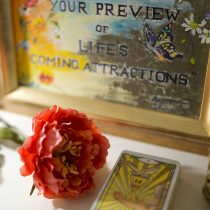A framed sign displaying “Your imagination is your preview of life’s coming attractions” sits next to a red flower and the Intuitive Therapy, Tarot, Life Navigation card featuring a figure with a staff.