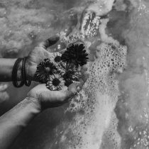 Two sand-covered hands wearing bracelets gently hold flowers above foamy ocean water in this black and white photograph, capturing a serene moment of clarity—just like Breakthrough.