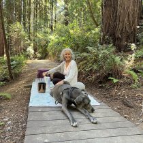 Sound Meditation Dogs