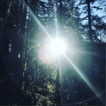 Find Balance - The Worklife Coach - Life Coach & Personal Growth