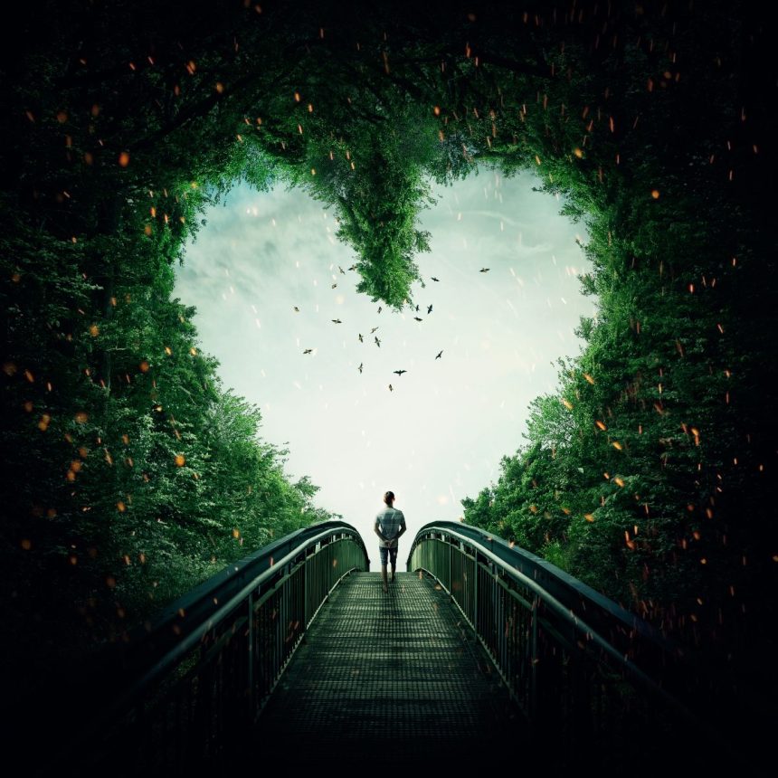 Alone on a bridge amid lush trees, a heart-shaped gap in the leaves frames the sky above. Birds fly and glowing particles float by, capturing Living on Purpose’s spirit of clarity and self-discovery in nature.