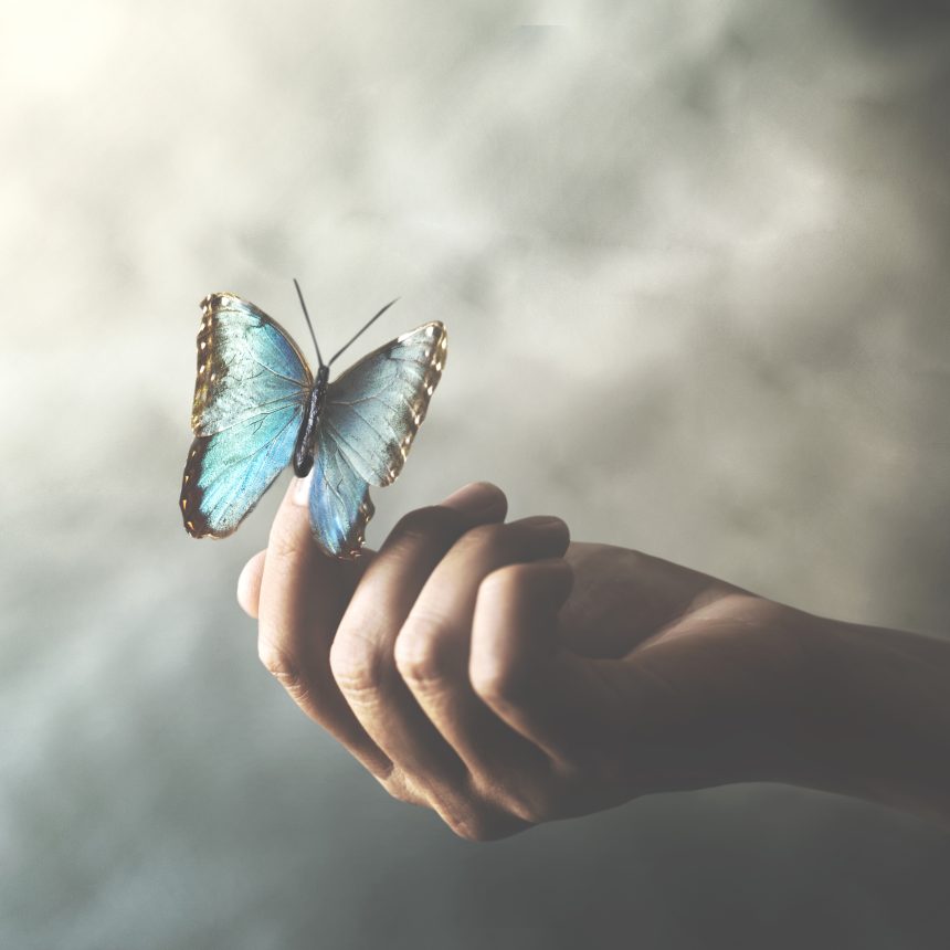 A person gently holds out their hand with a bright blue butterfly perched on their fingers, against a softly blurred, light gray background—illustrating the tranquility and inspiration found in Develop Your Dreamlife.