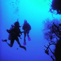 Two scuba divers swim underwater near coral and sea plants, surrounded by deep blue water. Bubbles rise above them as they explore the ocean depths.