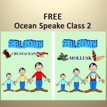 Two cartoons show shell growth in crustaceans (left) and mollusks (right), with ocean animals and three humans of increasing height, illustrating size changes for the Seashell Divination & Energy Healing - Course 1.