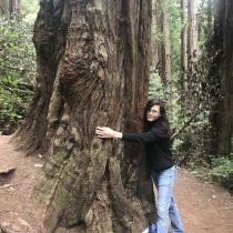 A woman in glasses, a black sweater, and blue jeans hugs a tree in a lush forest, embracing nature as she embodies the transformative power of Communicate with Impact & Influence conversation coaching.