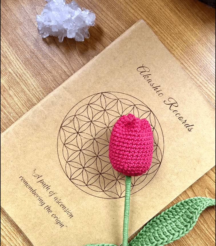 A crocheted pink tulip with green leaves rests on a book titled Akashic Records, featuring a geometric flower design on a wooden surface. A white crystal cluster is placed above the book.
