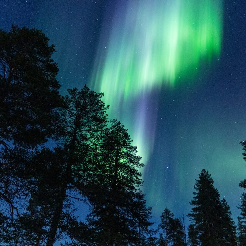 Mystical, magical Northern Lights by Anja Degiampietro