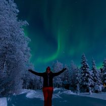 Mystical magical Northern Lights Anja Degiampietro