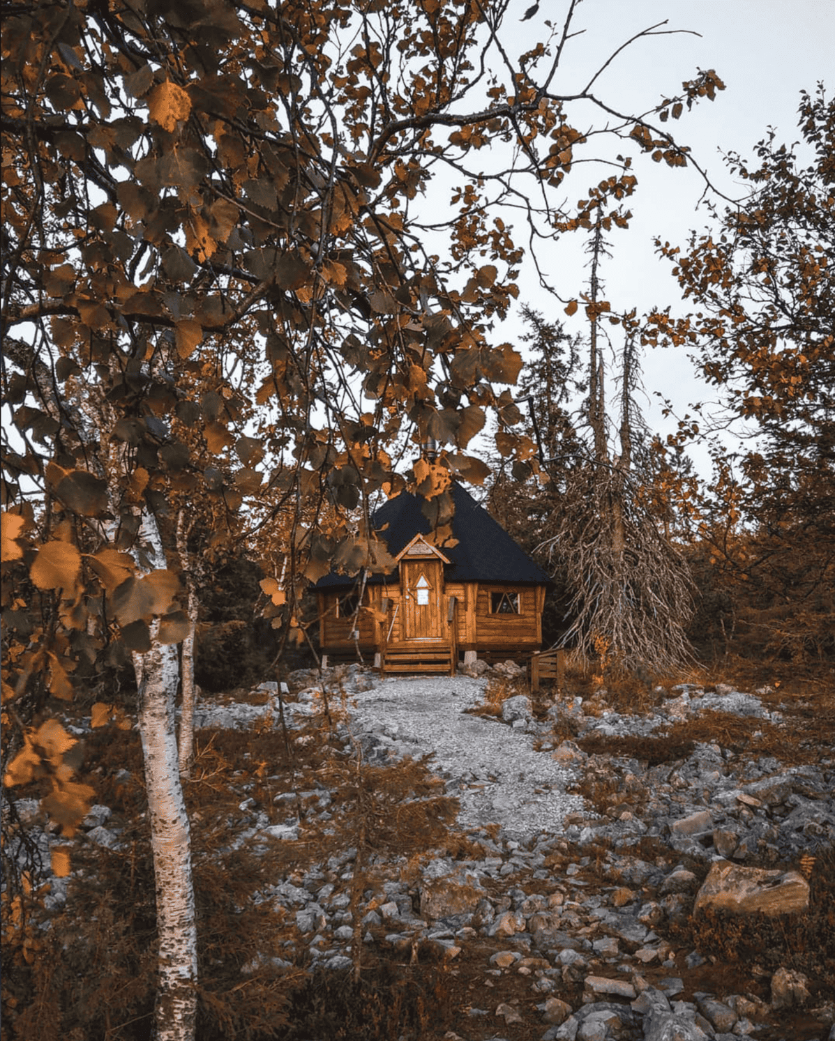 Inspired by Finnish Sauna Secrets from Lapland, a cozy wooden cabin with a dark roof nestles among orange-leaved trees on rocky ground, a gravel path winding nearby under a clear sky.
