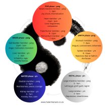 A circular diagram illustrates the five phases (Fire, Earth, Metal, Water, Wood) in traditional Chinese medicine, listing related organs, meridian times, emotions, and characteristics for each phase.