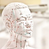 A white mannequin head marked with acupuncture points and lines in various colors, illustrating traditional Chinese medicine meridians. The background is blurred.