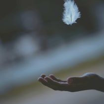 Feather falling into open palm of hand