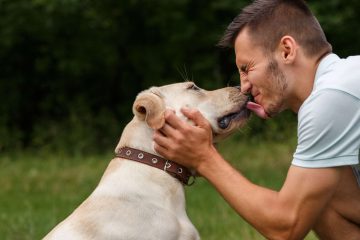 Dog licking a man's face.