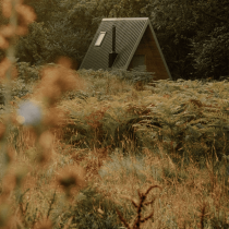 A cozy A-frame cabin with a metal roof nestles among lush trees and tall grass under golden spring sunlight—perfect for your 3-night Rest and Re-wild yoga retreat.