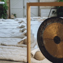 In a spacious, sunlit room with wooden walls and plants, a large gong on a wooden frame sits before rows of rolled mats, bolsters, and blankets—inviting you to the Rest and Re-wild: A 3 night Spring yoga re.