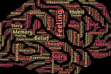 A word cloud in the shape of a brain, featuring terms like Feeling, Belief, Memory, Habit, Experience, Story, Reflection, and Thought in various colors and sizes on a black background.