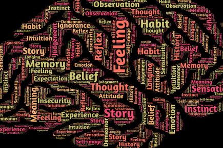 A word cloud in the shape of a brain, featuring terms like Feeling, Belief, Memory, Habit, Experience, Story, Reflection, and Thought in various colors and sizes on a black background.