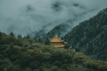A golden-roofed temple nestled among dense green trees on a mountain slope, with misty clouds drifting through forested peaks in the background.