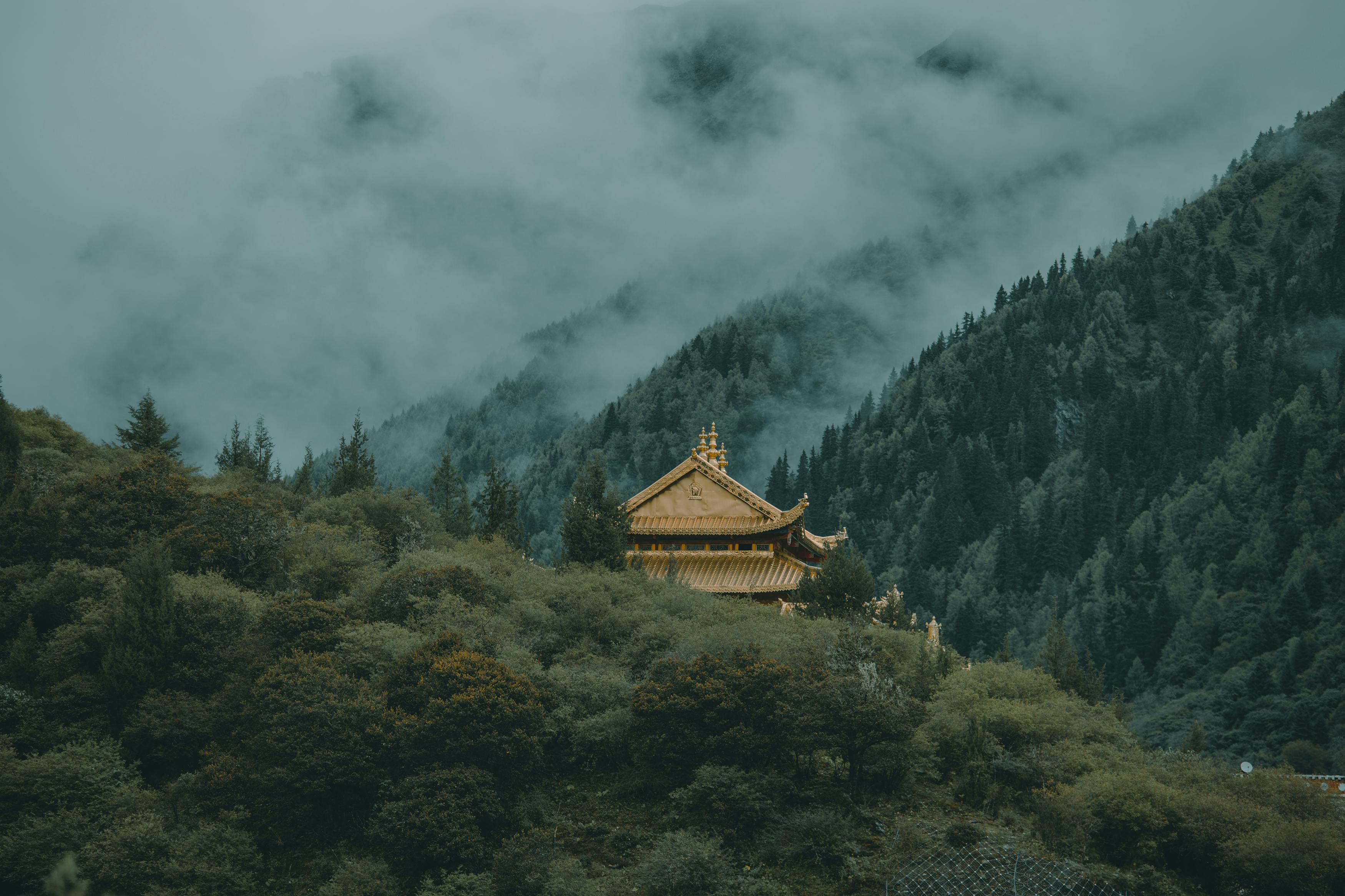 A golden-roofed temple nestled among dense green trees on a mountain slope, with misty clouds drifting through forested peaks in the background.