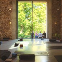 Experience the Southwest France Yoga Retreat: An Exploration of Creativity and Rest, where mats and bolsters fill a serene studio overlooking lush green trees, while guests outside bask in sunlight and tranquil views.