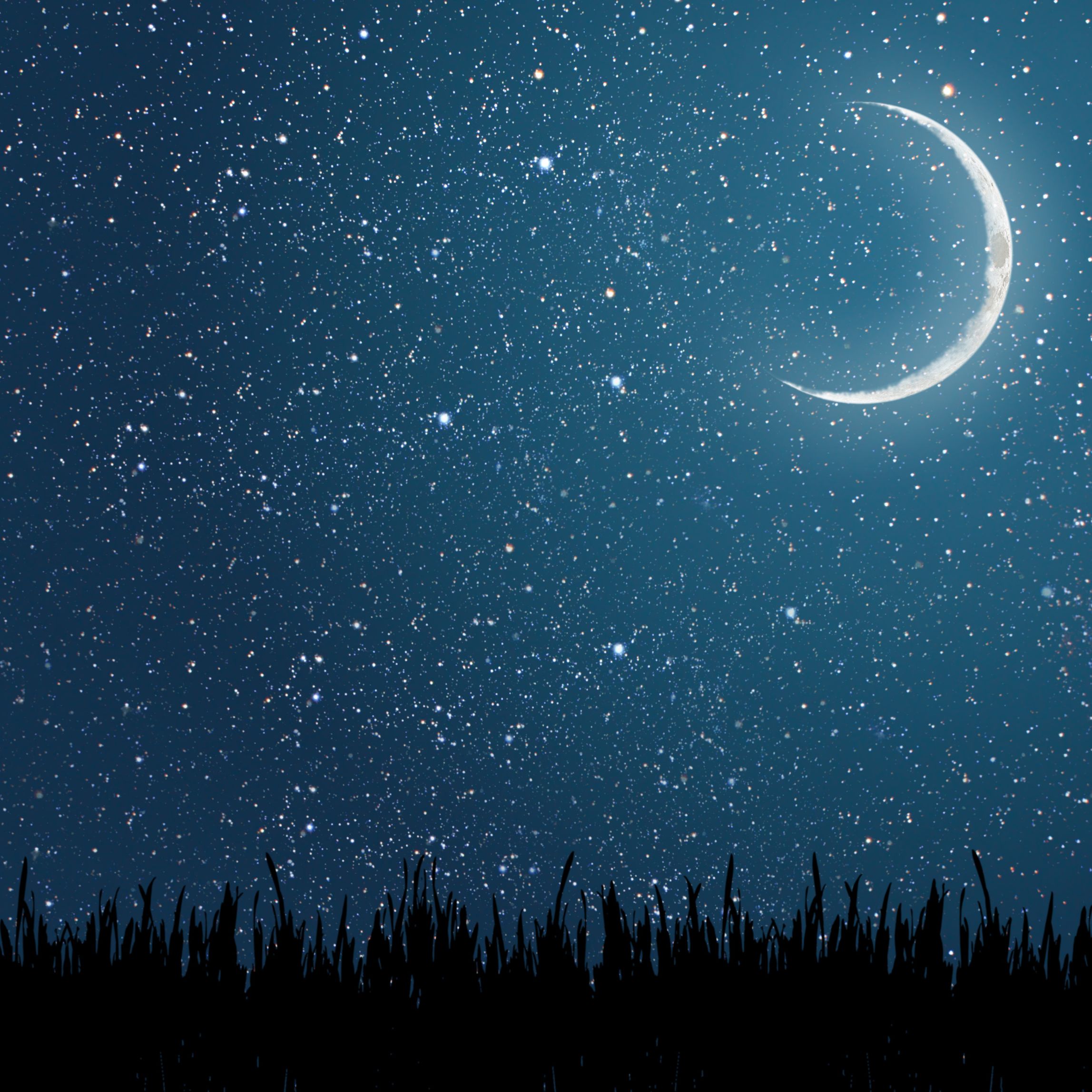 A night sky filled with stars and a bright crescent moon shining above a silhouette of tall grass.