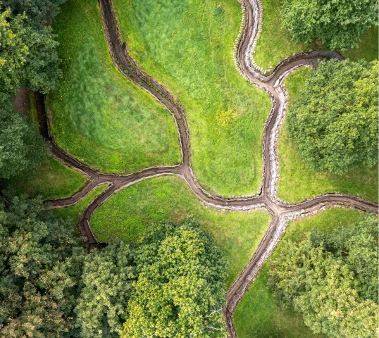 Aerial view of winding dirt paths and trenches intersecting in grassy terrain, bordered by clusters of green trees, creating a plentiful landscape that inspires a sense of wellbeing.