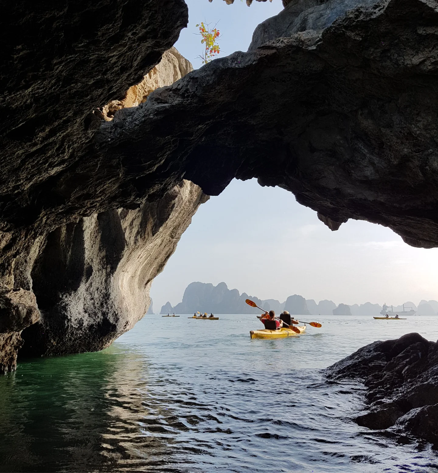 A group of yellow kayaks with people paddling on calm blue water, seen through a rocky cave opening with dramatic cliffs in the background.