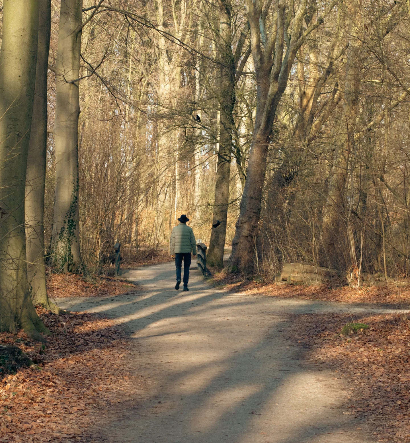 A person wearing a hat and winter coat walks alone on a dirt path through a sunlit forest with bare trees and fallen leaves on the ground.