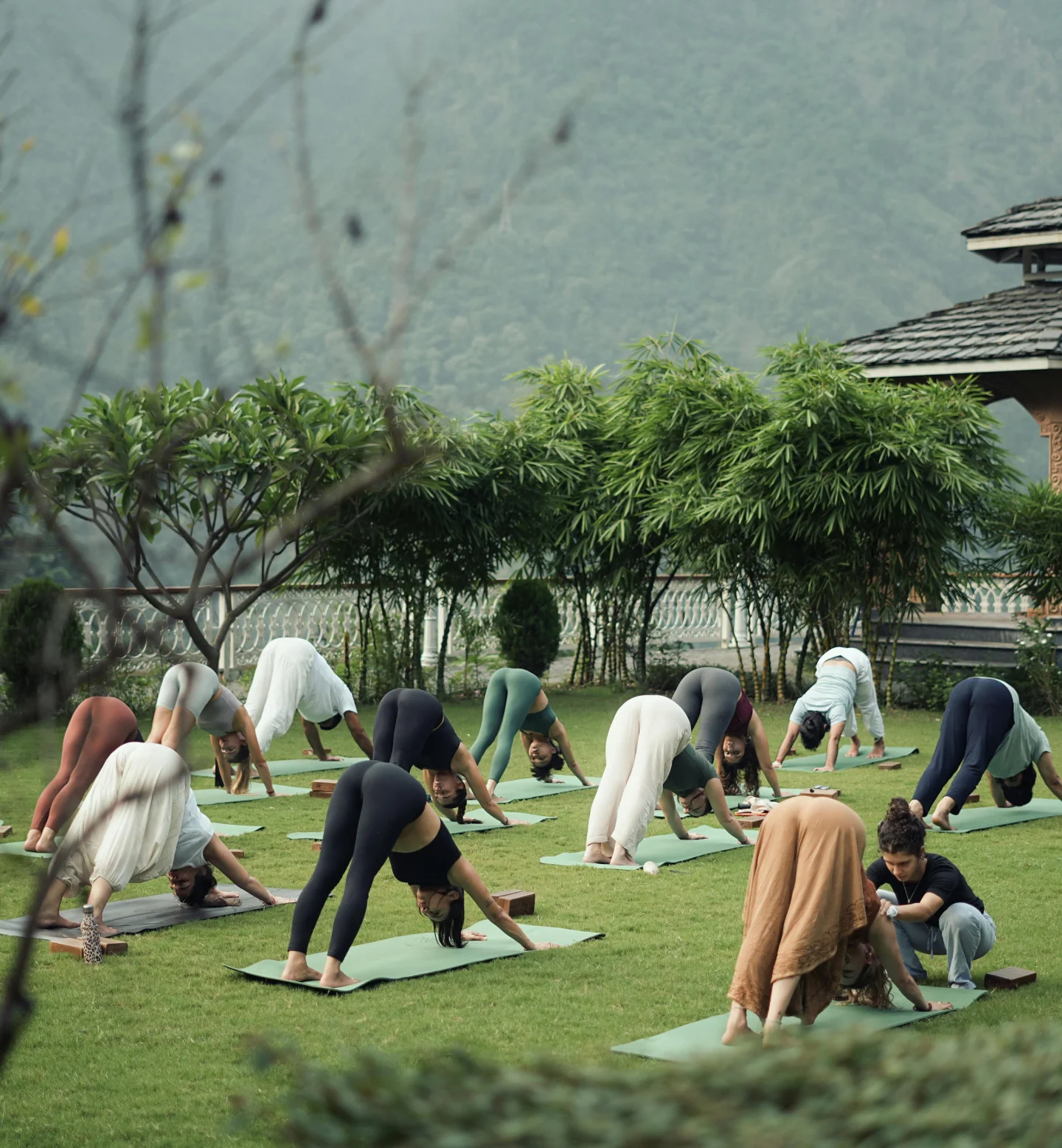 A group of people practicing yoga outdoors on green mats, performing downward dog pose on a grassy lawn, surrounded by trees and mountains in the background.