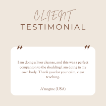 A beige graphic titled Client Testimonial features a quote describing how Gut Reset: Feel Better From the Inside Out is the perfect companion for a liver cleanse and praises its calm, clear teaching. The testimonial is signed “A’magine (USA)”.